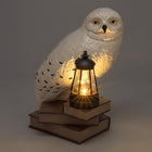 Lampka solarna Harry Potter Hedwiga Gnom