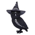 Figurka zaczarowana sowa Owlocen Cult Cuties